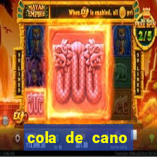 cola de cano quanto tempo para secar